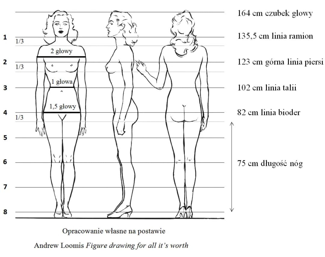 Idealne wymiary kobiecej sylwetki – jak je osiągnąć i czy warto?