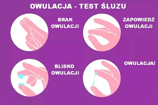 Jak wygląda śluz podczas owulacji? Poznaj kluczowe oznaki płodności